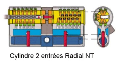 Cylindre de serrure double entrée Vachette Radial NT+ - Profil Européen 32x32mm